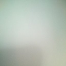Aryan, �����������, 20 ���