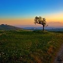 ���� ����, �����, 26 ��� - ��������� 16 ��� 2025 � ������ ���� ����������