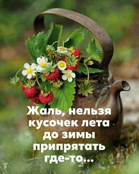   ,    . - 31  2024  23:31