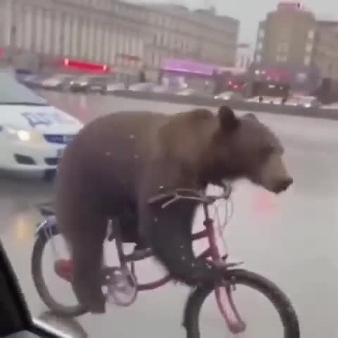  e  occ: ee a e  cpo  o o.  - 2