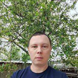 , 33, 
