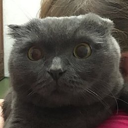 ������, ������, 53 ����