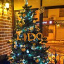 ���� �����, ������� - ��������� 5 ������ 2025 � ������ ���� ����������