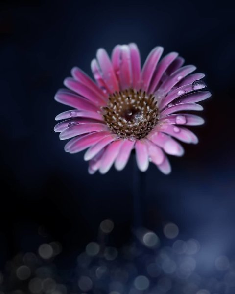 ��������� �� ����� � ������ ������ ���� �� ������������. � ������ ������� - 6