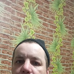 �������, 35 ���, �������