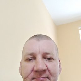 ��������, 39 ���, ����