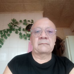 , 56, 