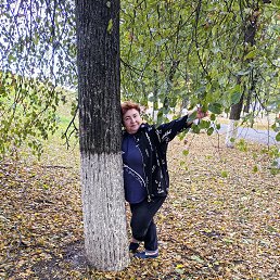 , 55, 