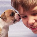 ���� ��������, ������, 36 ��� - ��������� 6 ��� 2024