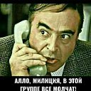 ���� ������ �����������, ���������, 44 ���� - ��������� 21 ���� 2026 � ������ ���� ����������