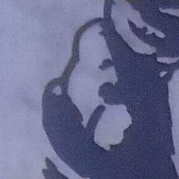 ������, �������������-����������, 38 ���