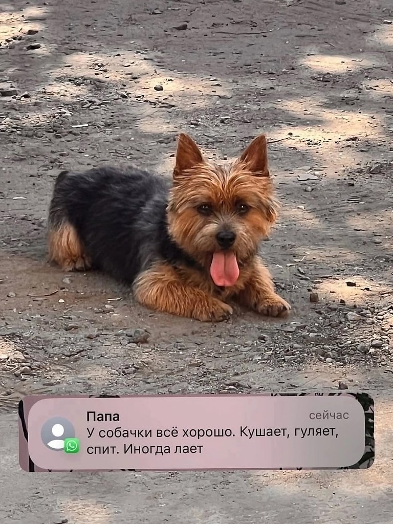 -   !     - 9