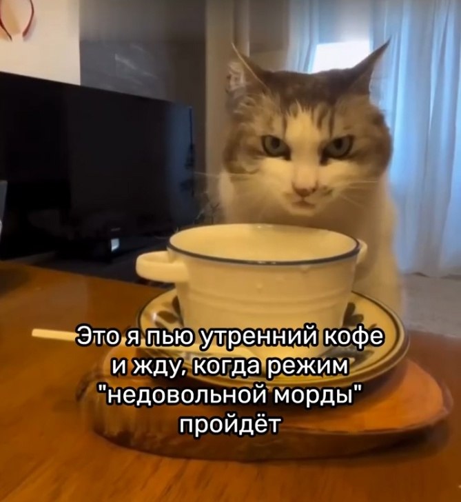      ?