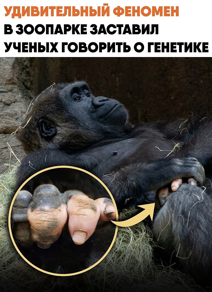 ������� ����� �� �������� ������� ������� ��� ����� ���������� ������������. ��-�� ������� �������� ...