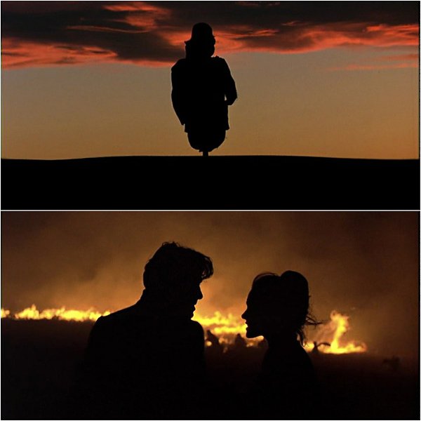   / Days of Heaven (1978). :   :  ,  ... - 9