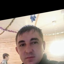 , 33, 