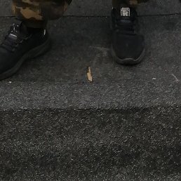 ������, ���������, 43 ����