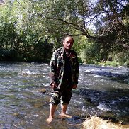 , 53 , 