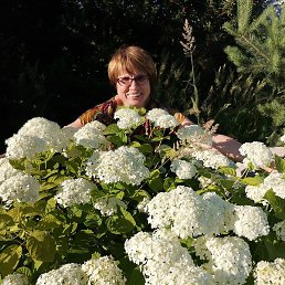 �������, ���������, 67 ���