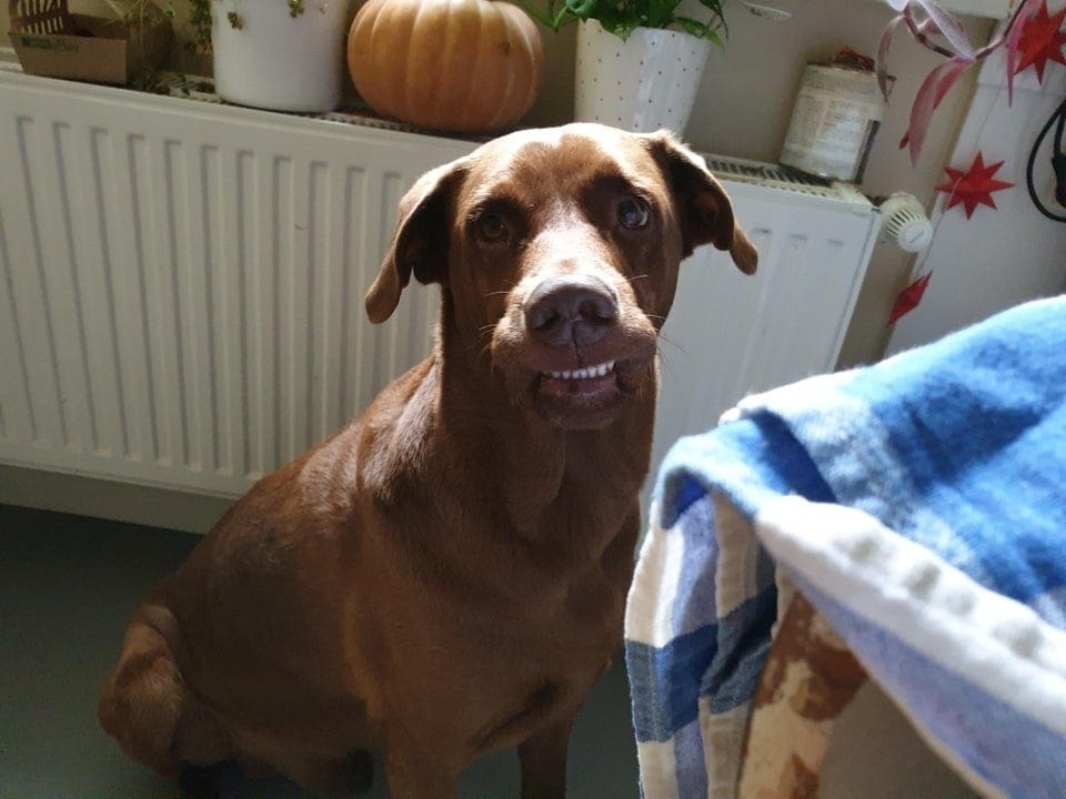 ��������!