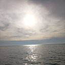 ���� Nesti, �������-����������, 57 ��� - ��������� 21 ����� 2024