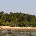 ���� ������, ������, 19 ��� - ��������� 3 ������� 2025 � ������ ���� ����������