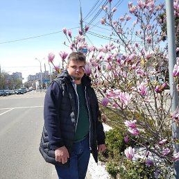 �����, ���������, 40 ���