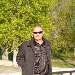 , 44, 