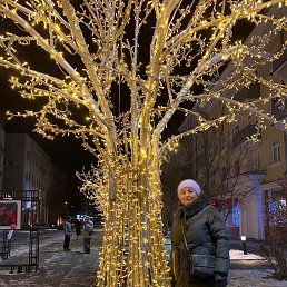 , 65, 