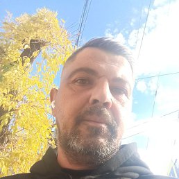 , 44, 