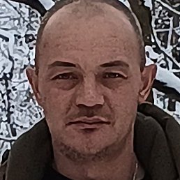 ��������, ����, 41 ���