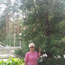 �����, �������, 56 ���