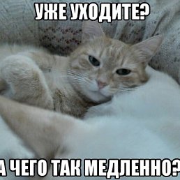 , , 50 