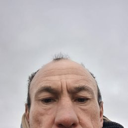 ����, 48 ���, ���������