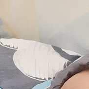 , 44 , 