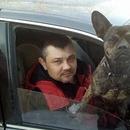 Maks@on, �������������-����������, 48 ���