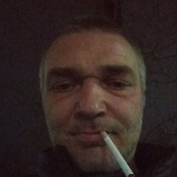 , 41, 
