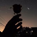 ���� ��������, ������, 36 ��� - ��������� 2 ������ 2024 � ������ ���� ����������