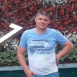 ����, 44 ����, �������