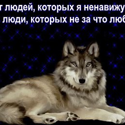 ���� ���������, �������� - ��������� 14 ������ 2026