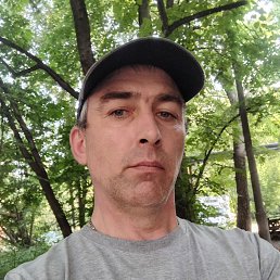 , 52, 