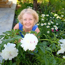 ���� ������, ����������, 53 ���� - ��������� 30 ������� 2024