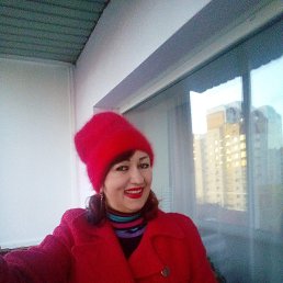 , 58, 