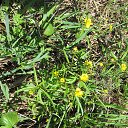  , , 60  -  23  2025    2025 .  ... 9 