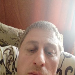 , 41, 