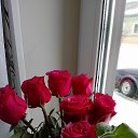 ���� �������, ������, 63 ���� - ��������� 5 ������� 2023 � ������ ���� ����������