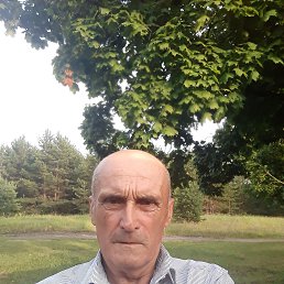 , 67, 
