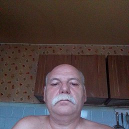 , 52 , 