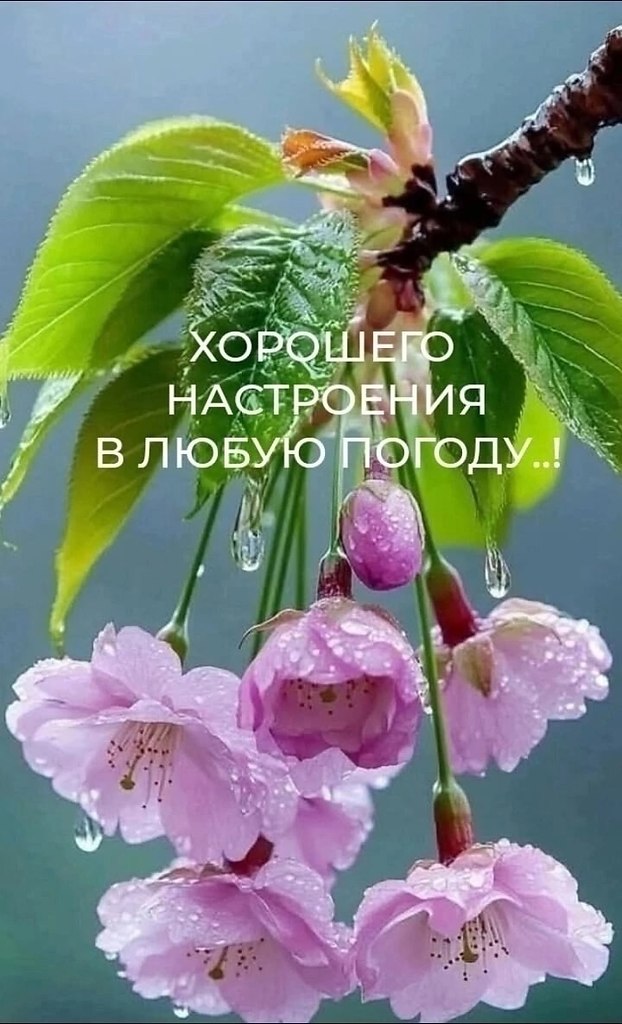   ,    . - 27  2025  15:39