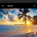 ���� ������, ����������, 65 ��� - ��������� 29 ����� 2026